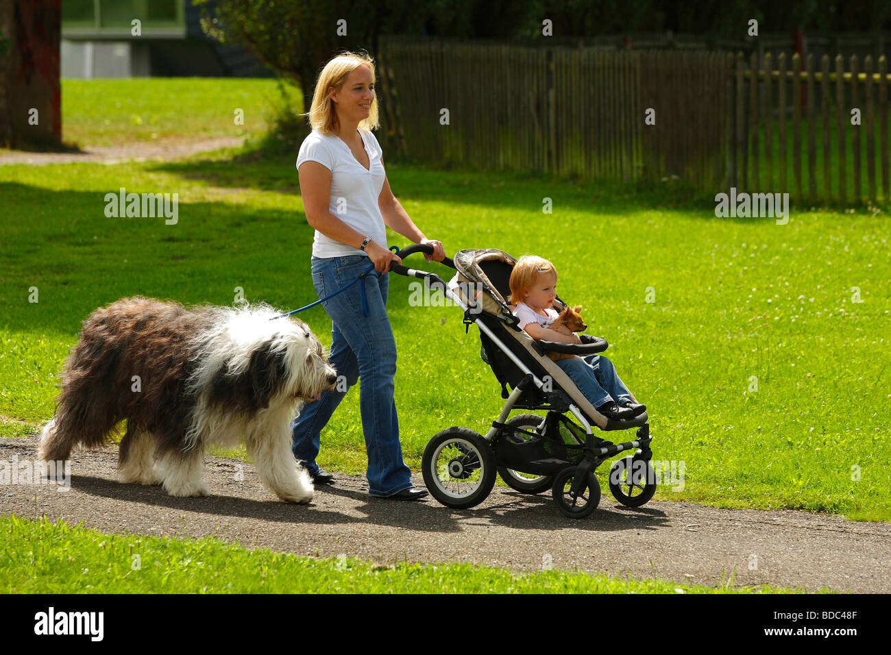 Femme Avec Fille Chihuahua Et Old English Sheepdog Bobtail Pram Buggy Poussette De Bebe En Laisse Se Promener Photo Stock Alamy