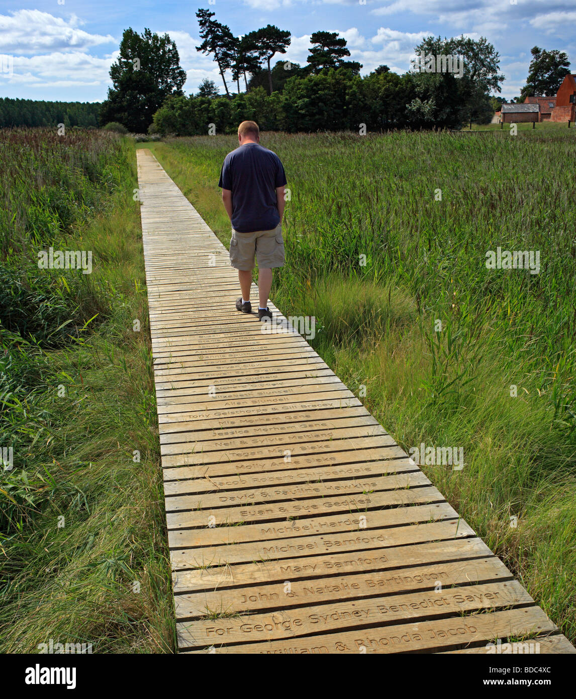 Homme marchant le long d'une promenade en bois portant les noms des donateurs. Banque D'Images
