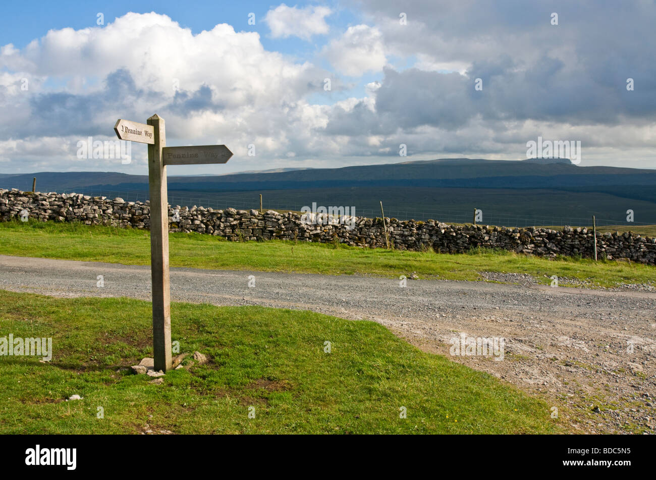 Sur le sentier Pennine Way en direction de Pen-y-ghent de Cam High Road. Banque D'Images