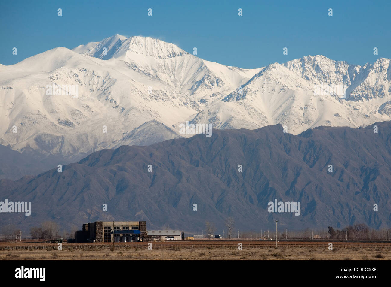 Avis de Bodega Septima winery à Lujan de Cuyo, Mendoza Argentine au pied de la chute des Andes Banque D'Images