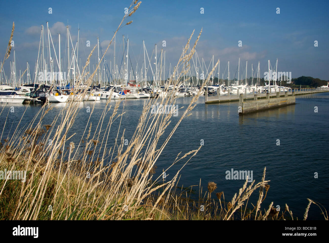 Marina Lymington Hampshire UK bateaux pontons Banque D'Images
