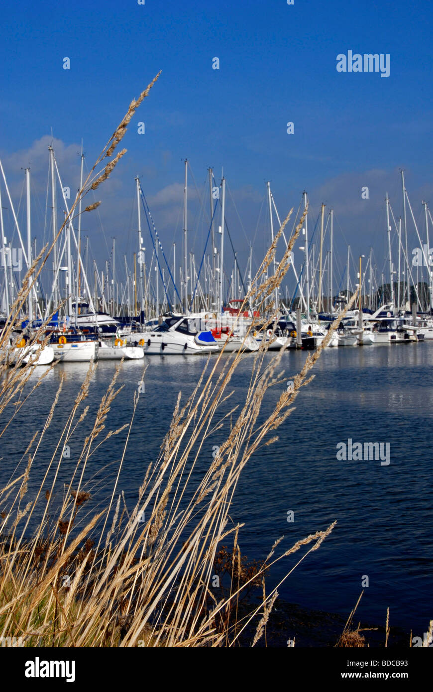 Marina Lymington Hampshire UK bateaux pontons Banque D'Images