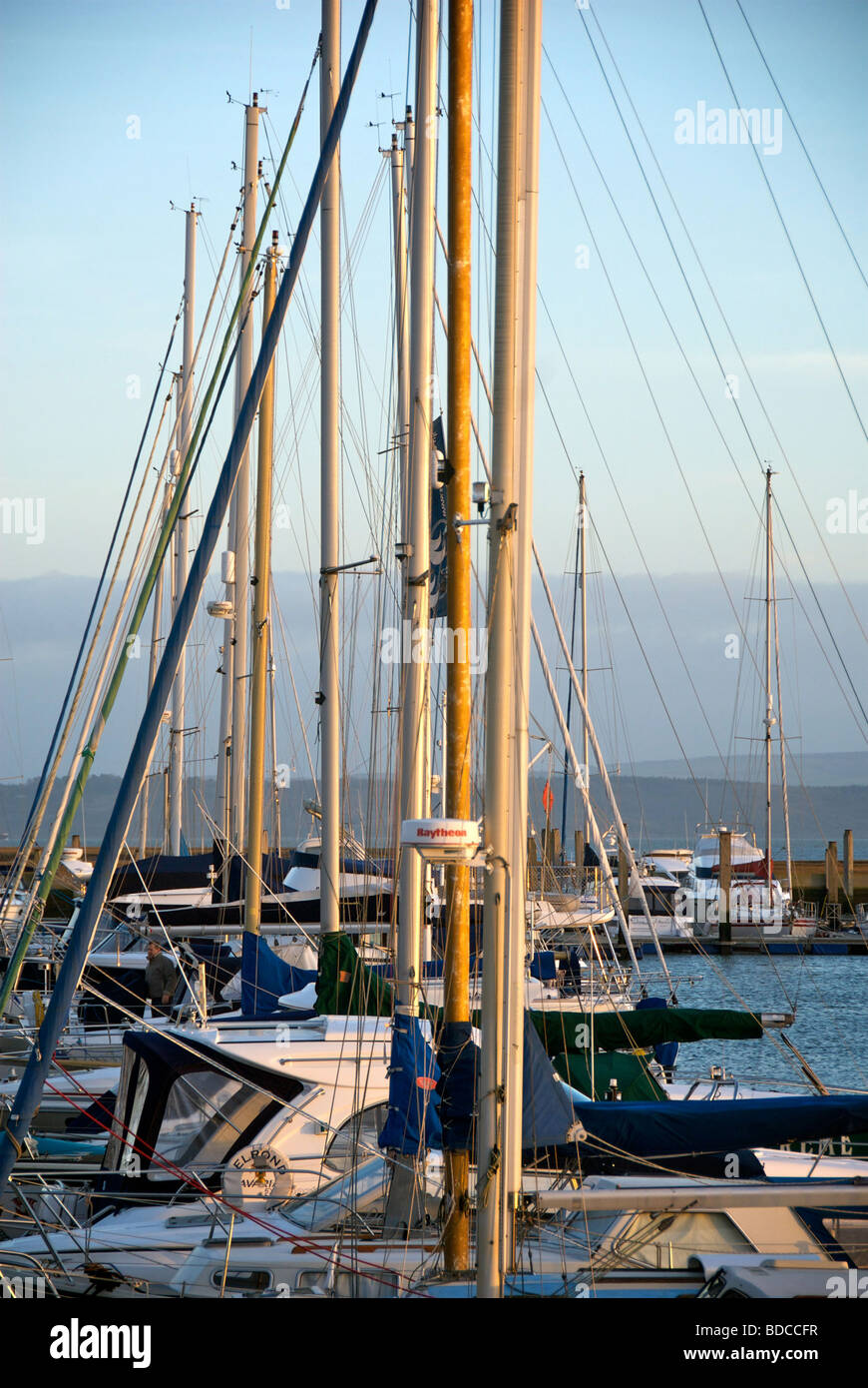 Marina Lymington Hampshire UK mâts des bateaux pontons Banque D'Images