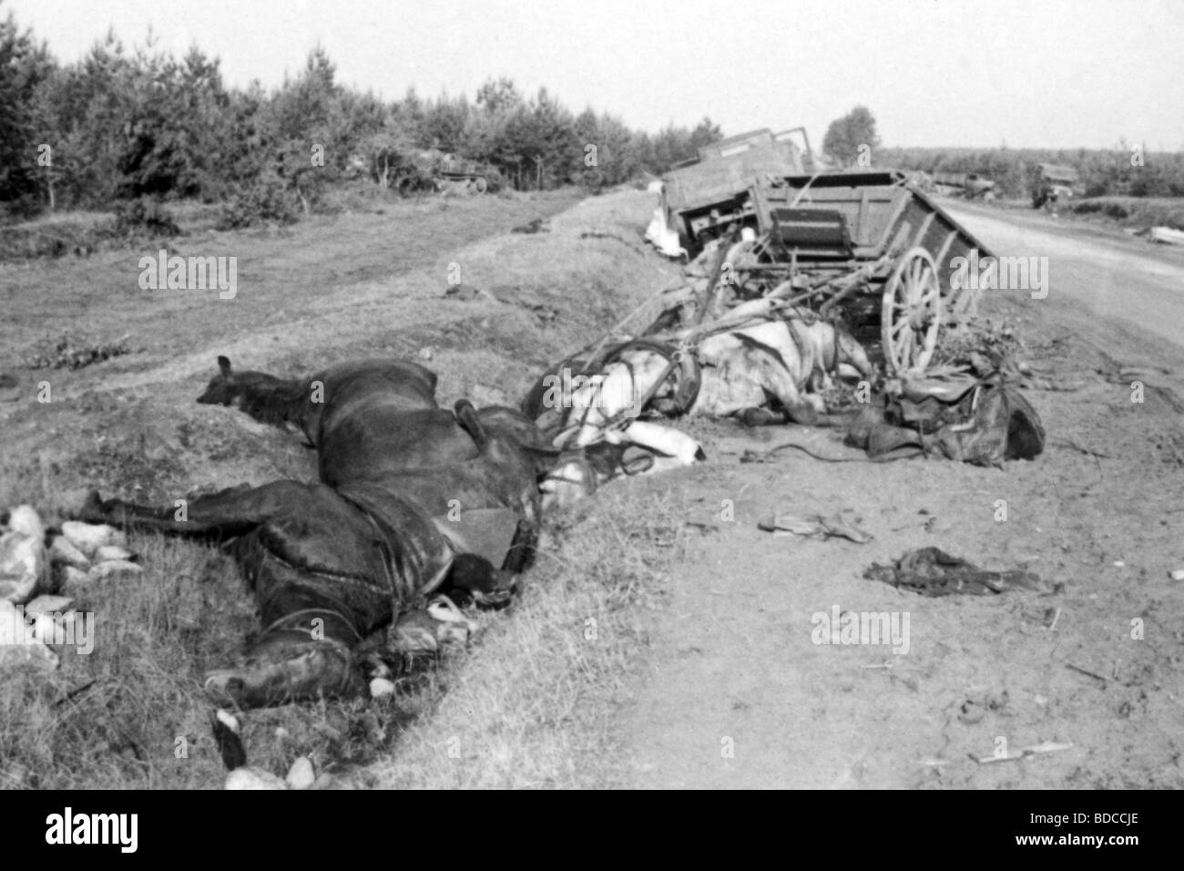 Événements, seconde Guerre mondiale / seconde Guerre mondiale, Russie 1941, colonne soviétique après raid aérien allemand entre Bialystok et Vaukavysk, détruit le chariot et tué des chevaux, juillet 1941, Banque D'Images