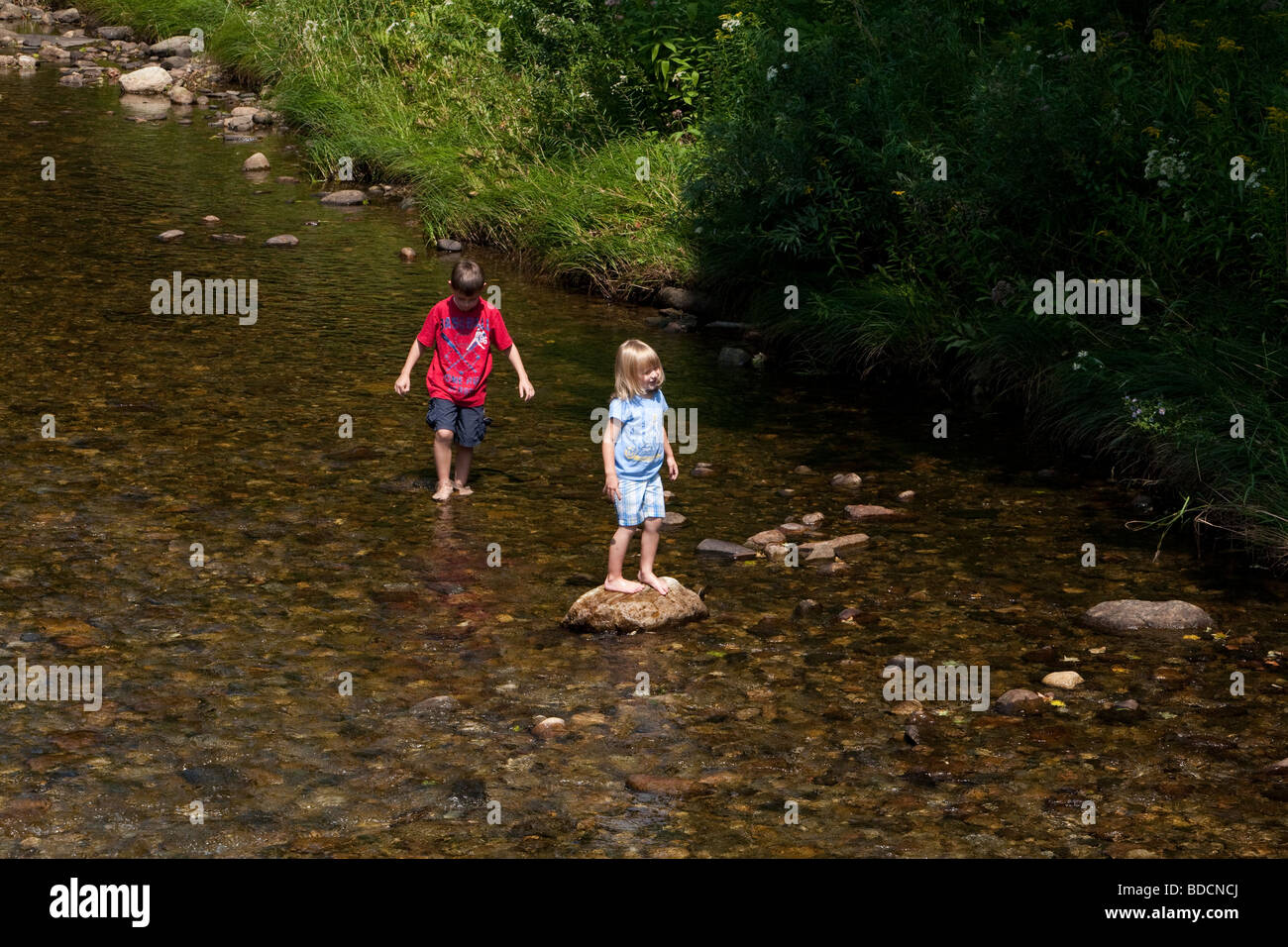 Deux enfants, un frère et une sœur de patauger dans un ruisseau sur une chaude journée d'été. La petite fille blonde est debout sur un rocher. Banque D'Images