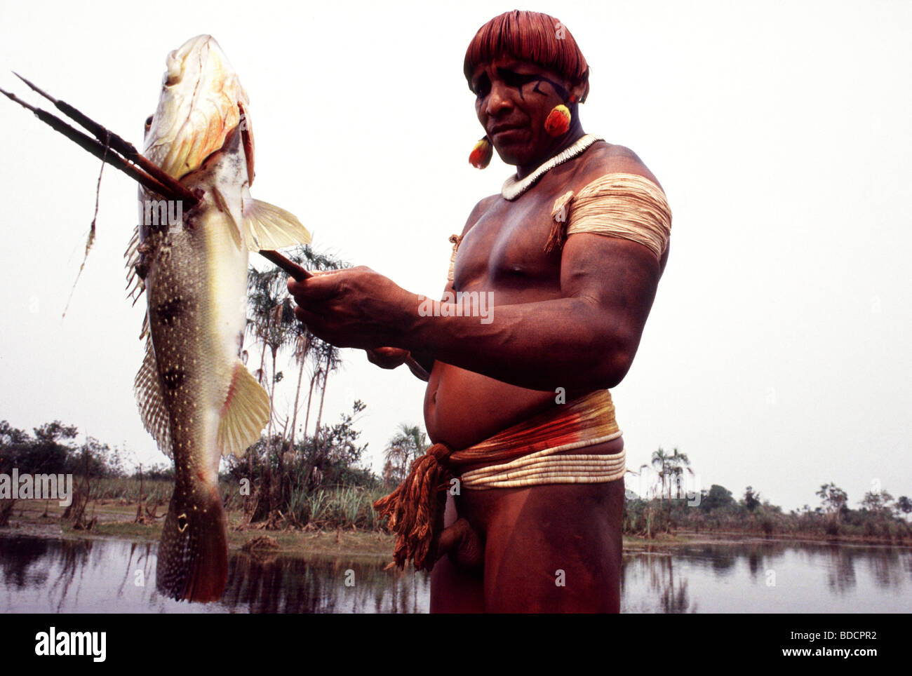 Forêt amazonienne, au Brésil, les populations autochtones Yawalapiti la pêche. Zone sahélienne. Banque D'Images