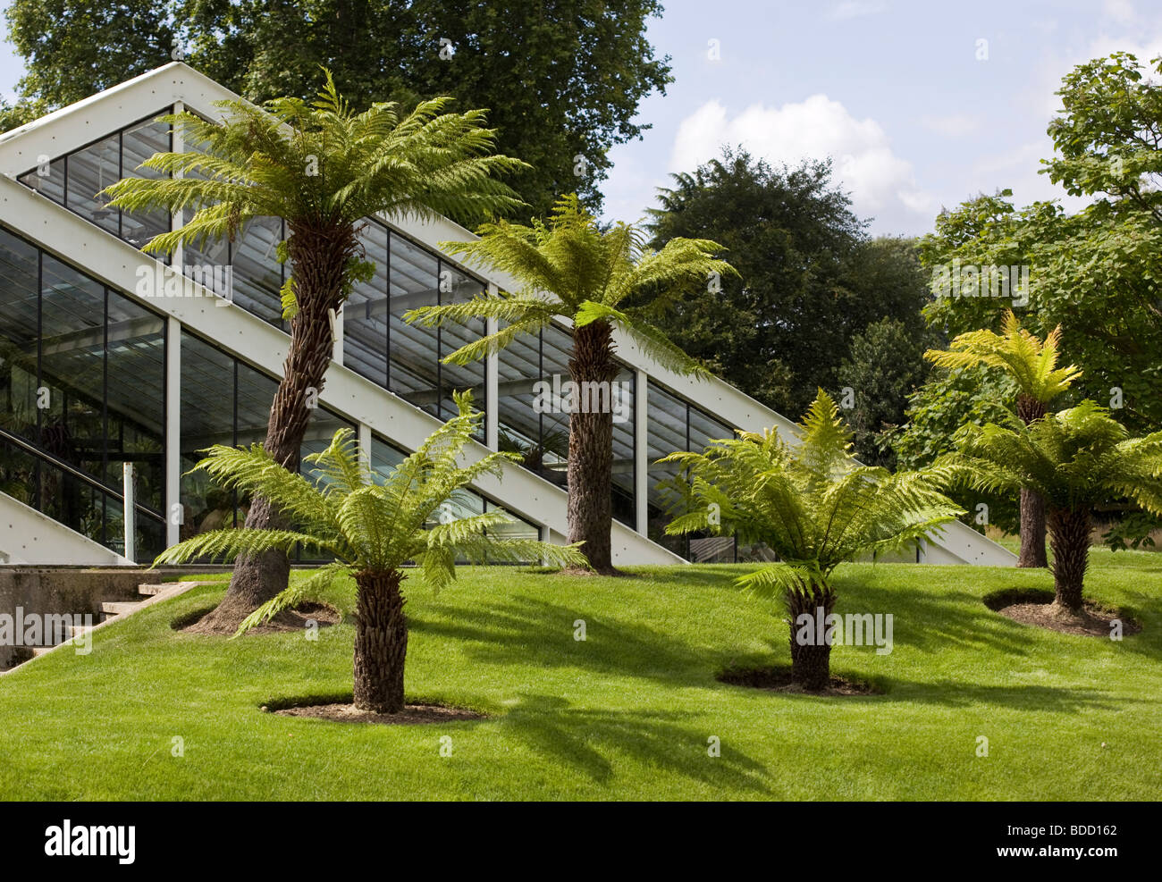 Princess of Wales conservatory Kew Gardens Londres Banque D'Images