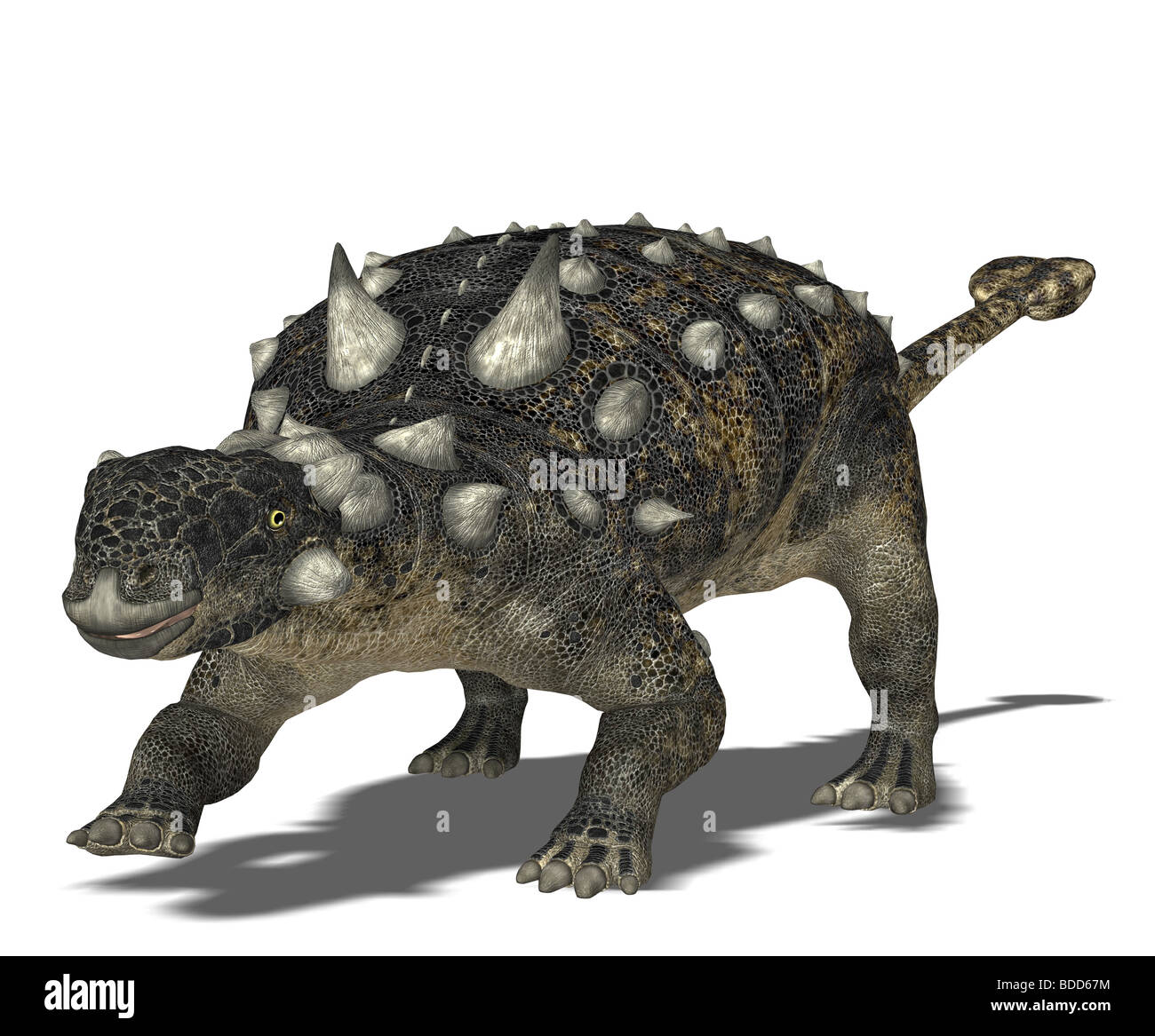 Euoplocephalus dinosaure Banque D'Images