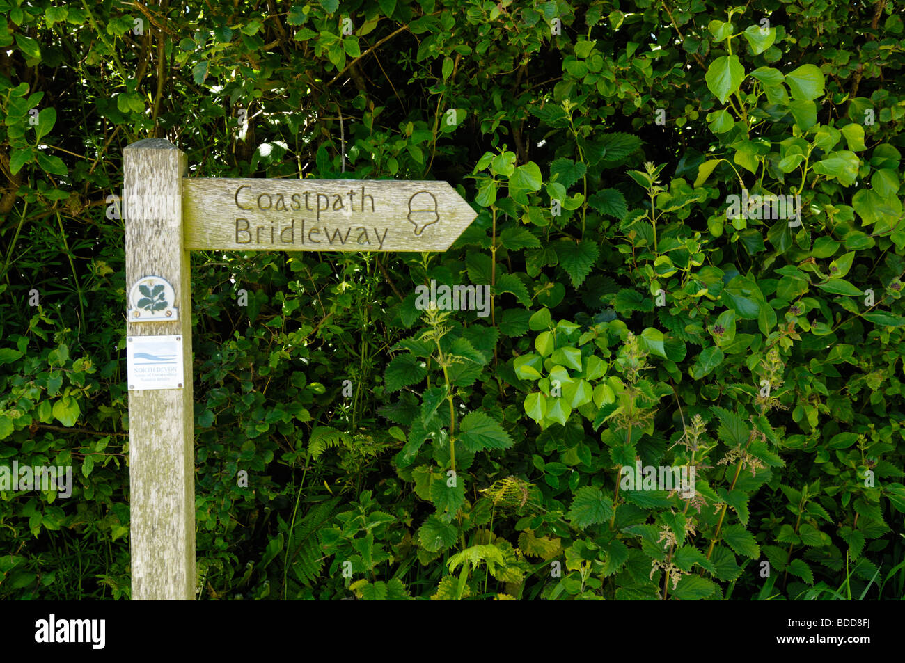 Panneau jusqu'au South West Coast Path à Titchberry sur la péninsule de Hartland, Devon, Enlgland. Banque D'Images