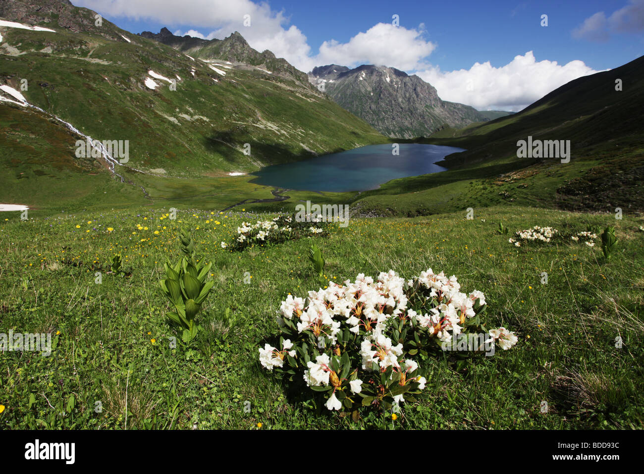 Lac de montagne Banque D'Images