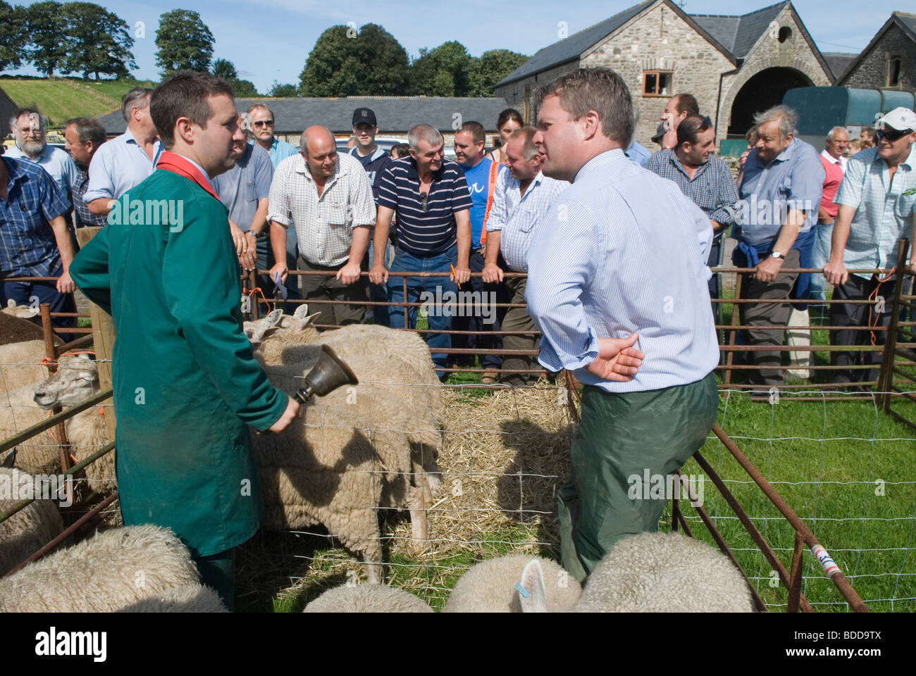 Priddy Somerset Sheep Fair Auctioneer sonnera le début de la vente aux enchères avec l'assistant des années 2009 2000 UK HOMER SYKES Banque D'Images
