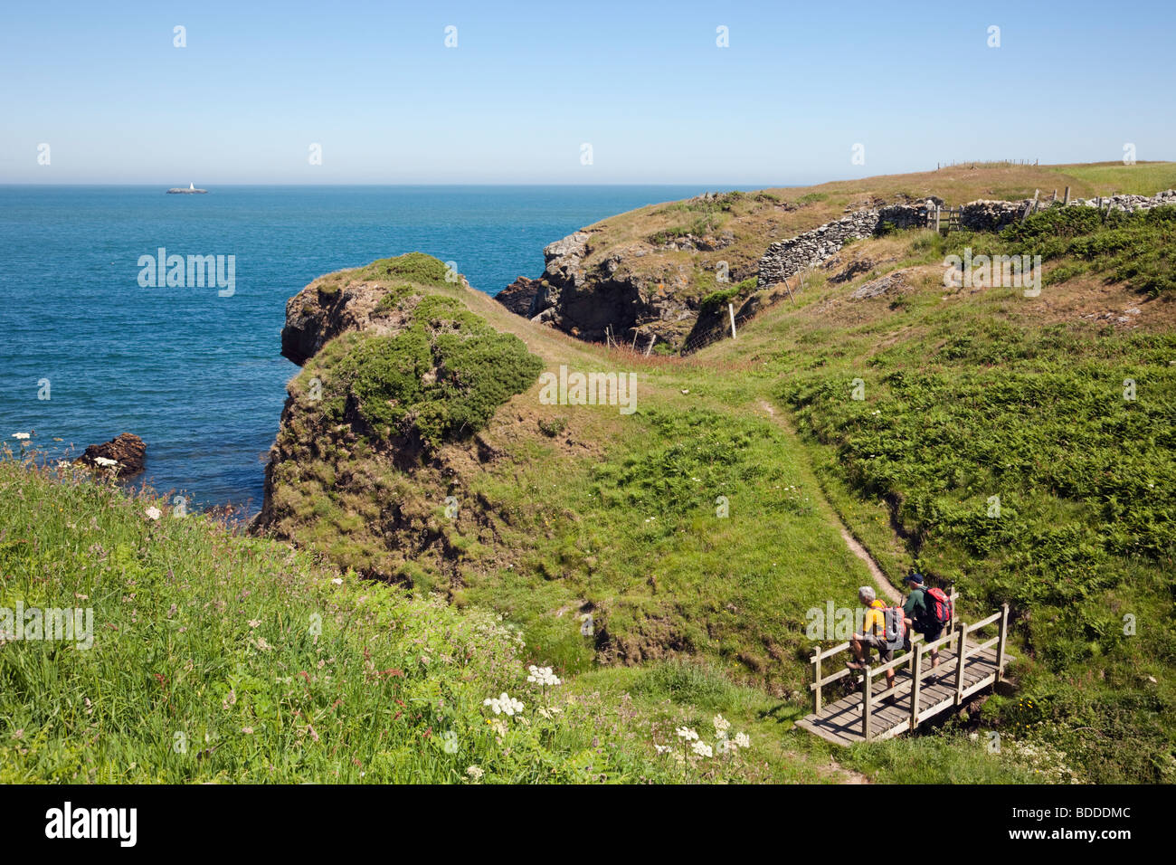 Mynachdy, Anglesey, au nord du Pays de Galles, Royaume-Uni. Isle of Anglesey Sentier du littoral et de la côte rocheuse près de Carmel Head sur la côte nord Banque D'Images