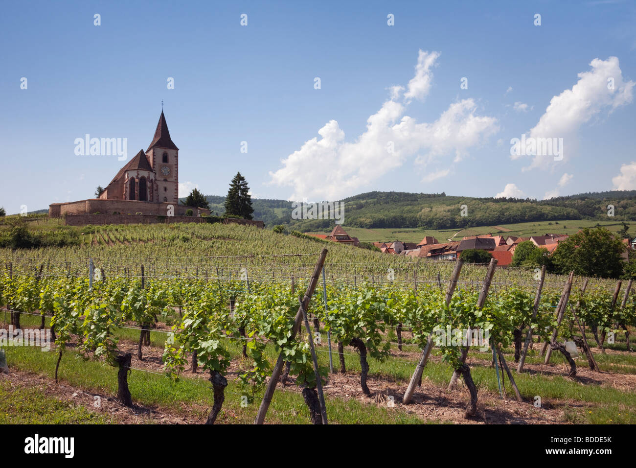 Hunawihr Alsace Haut-Rhin France 15e siècle église fortifiée de St Jacques et grands crus sur la route des vins d'Alsace Banque D'Images