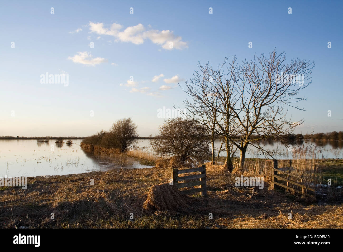 Coucher de soleil sur le marais inondé à Welney. Banque D'Images