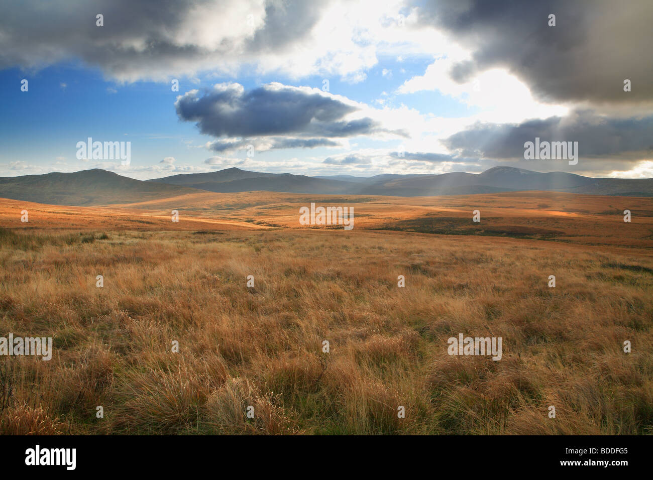 Wicklow mountains , Irlande Banque D'Images