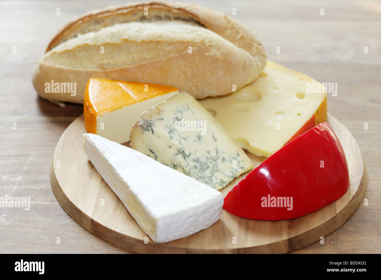 Sélection ou assortiment de fromages savoureux dessert sur un plateau de fromages avec aucun peuple Banque D'Images