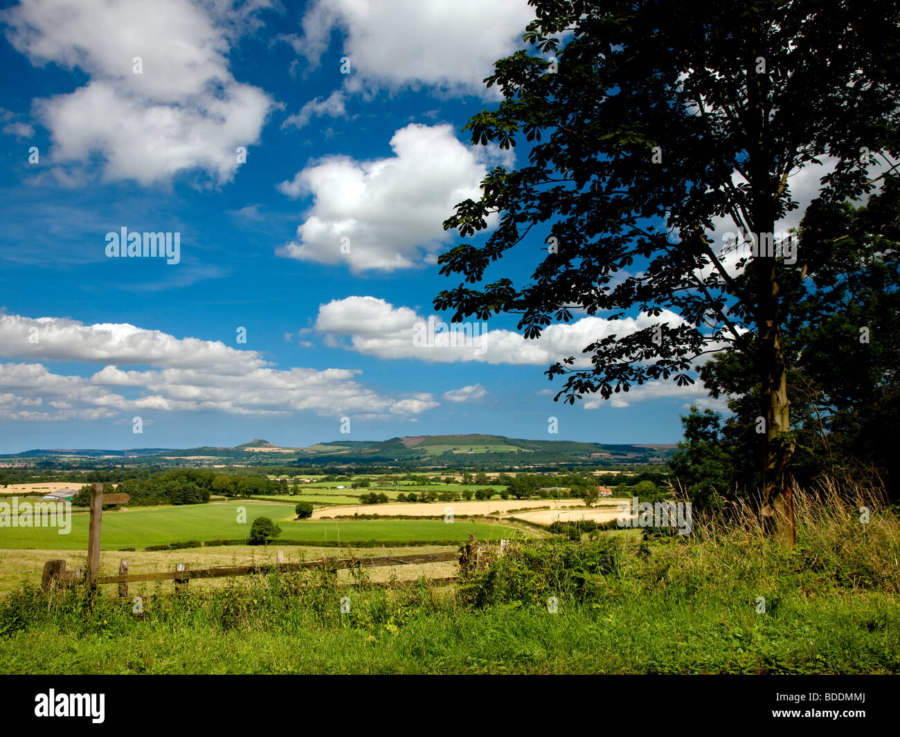 Sentier en bas de banque en argile près de Roseberry Topping avec shérif devient dans la distance, Yorkshire du Nord Banque D'Images