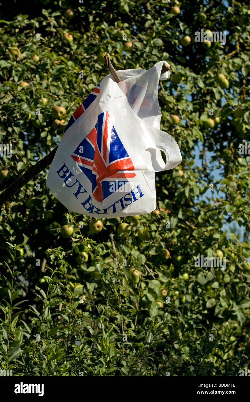 Sac plastique pris dans un arbre Banque D'Images
