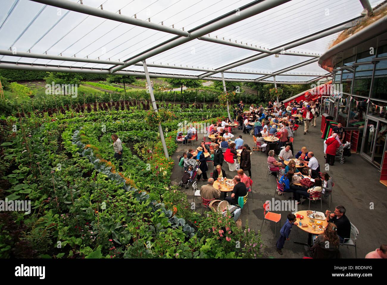 2494. Eden Project, Bodelva, St Austell, Cornwall Banque D'Images