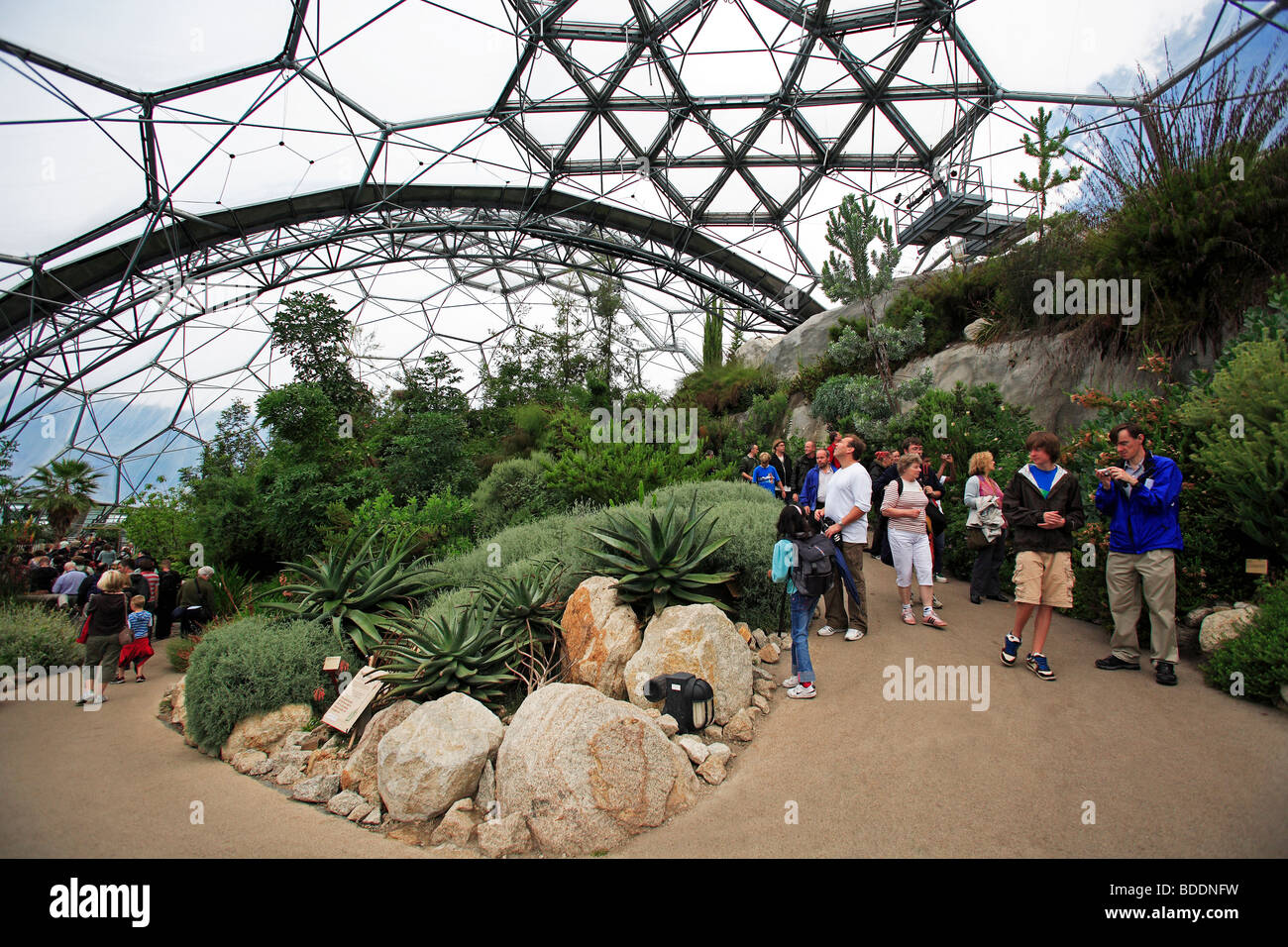 2497. Les biomes méditerranéens, Eden Project, Bodelva, St Austell, Cornwall Banque D'Images