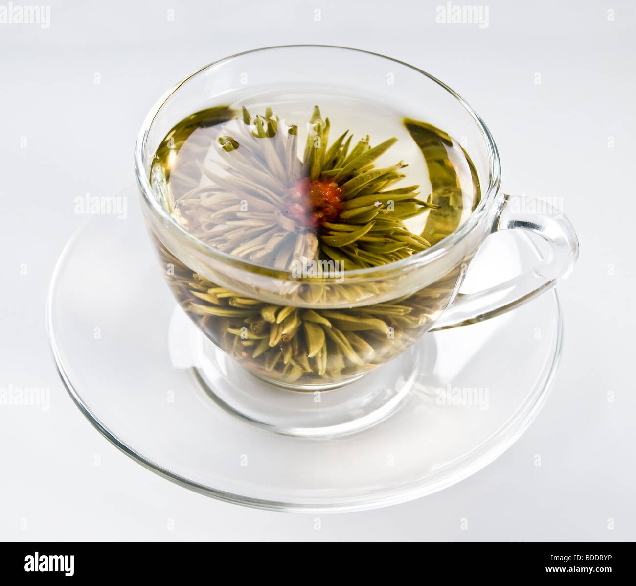 Tasse de fleurs de thé vert Fleurs Banque D'Images