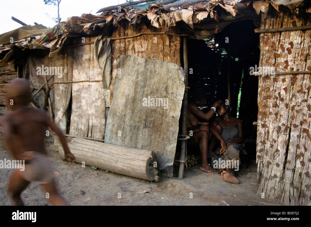 Soirée dans un village pygmée dans la forêt tropicale de l'Afrique centrale à distance au nord-est du Gabon. Banque D'Images