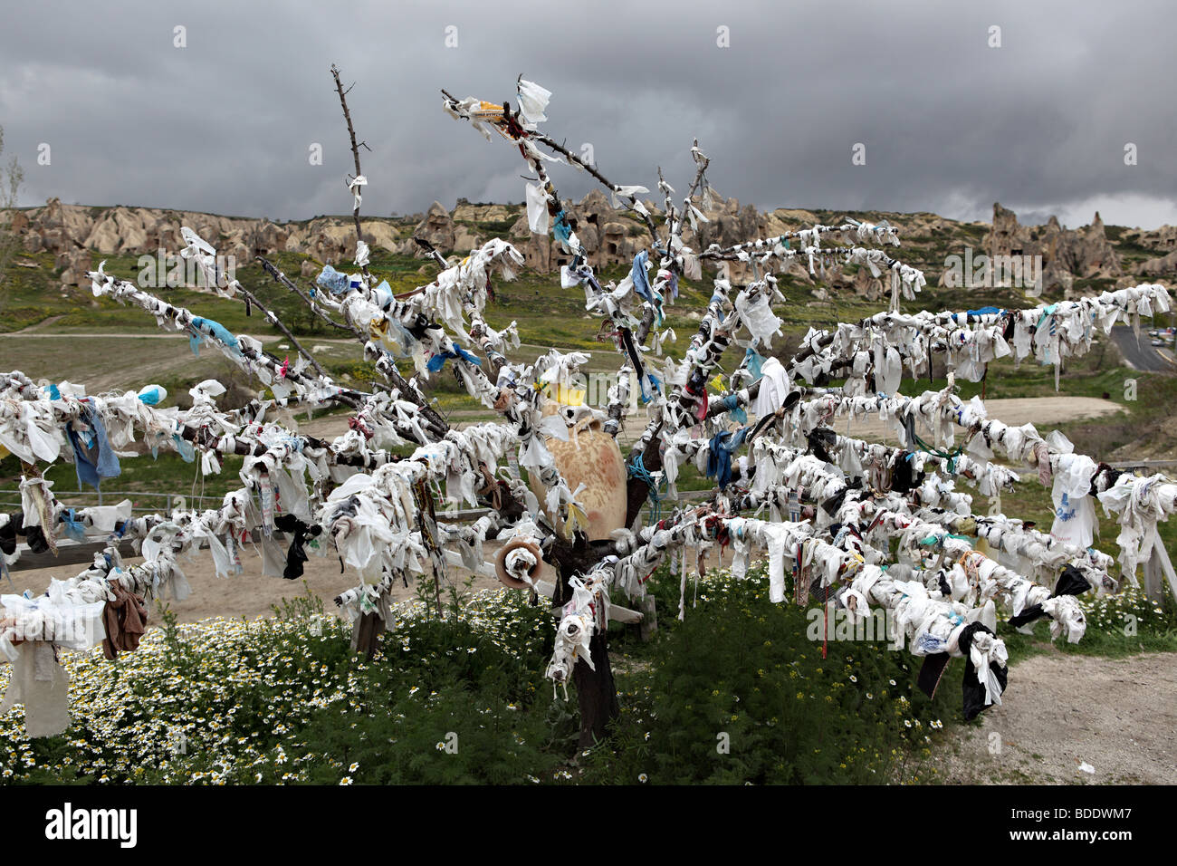 Un instantané de l'arbre des désirs que l'on appelle dans le pays de Cappadoce, Turquie. Banque D'Images