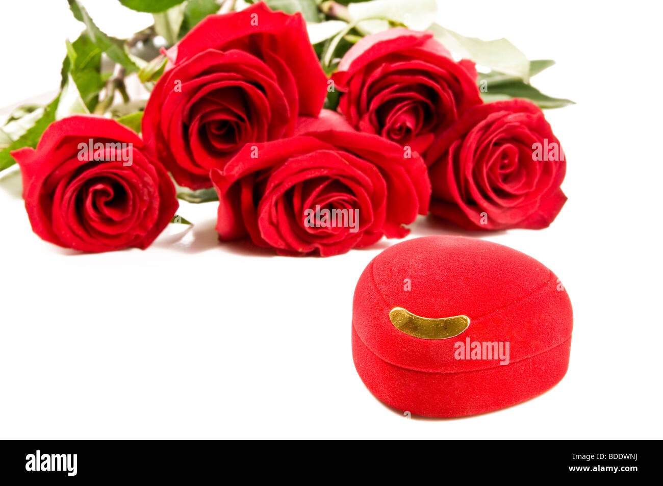 Roses et rouges fort Banque D'Images