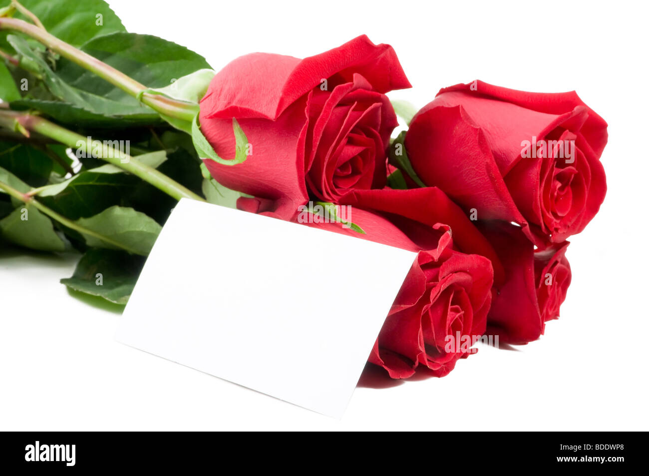 Un bouquet de roses avec une carte vierge pour les félicitations. Banque D'Images