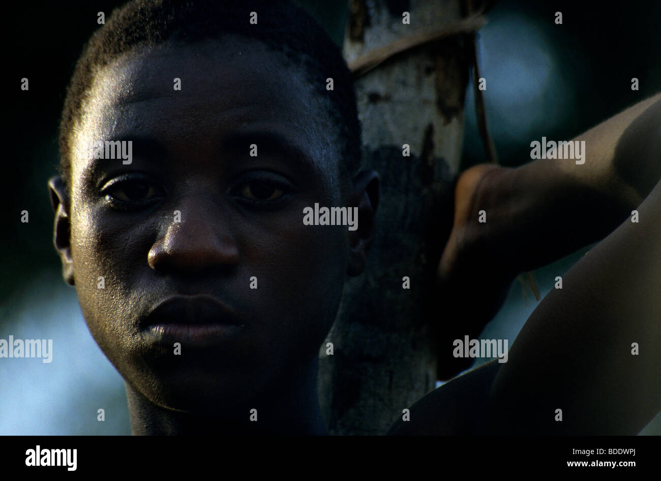 Portrait d'un jeune homme pygmée Baka dans un village éloigné dans la forêt tropicale à la frontière du Gabon et du Congo, en Afrique centrale. Banque D'Images