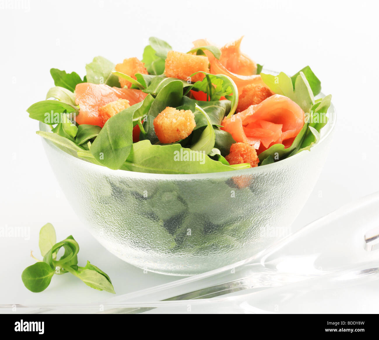 Bol de verts avec du saumon et croûtons Banque D'Images