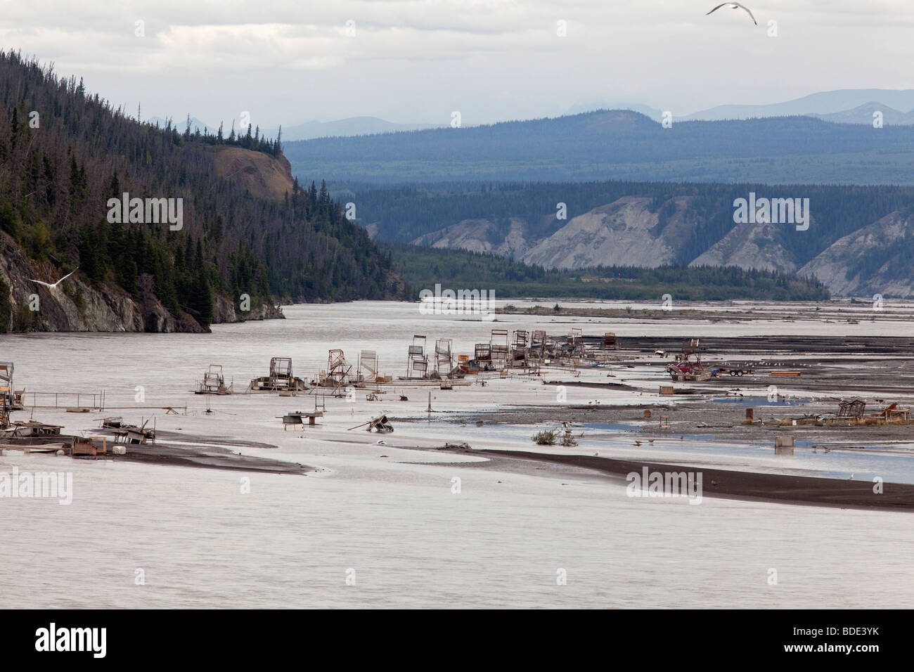Les roues du poisson sur la rivière de cuivre en Alaska Banque D'Images