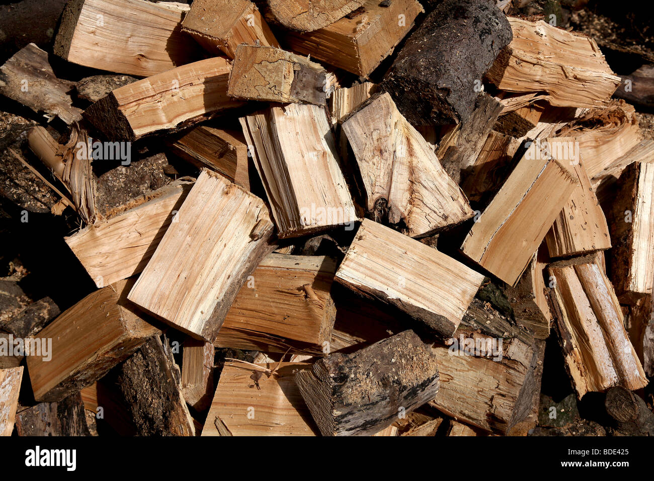 Par Mark Pic Passmore. 19/08/2009. Pic de générique de sciage dans un bois près de Honiton, Devon Banque D'Images