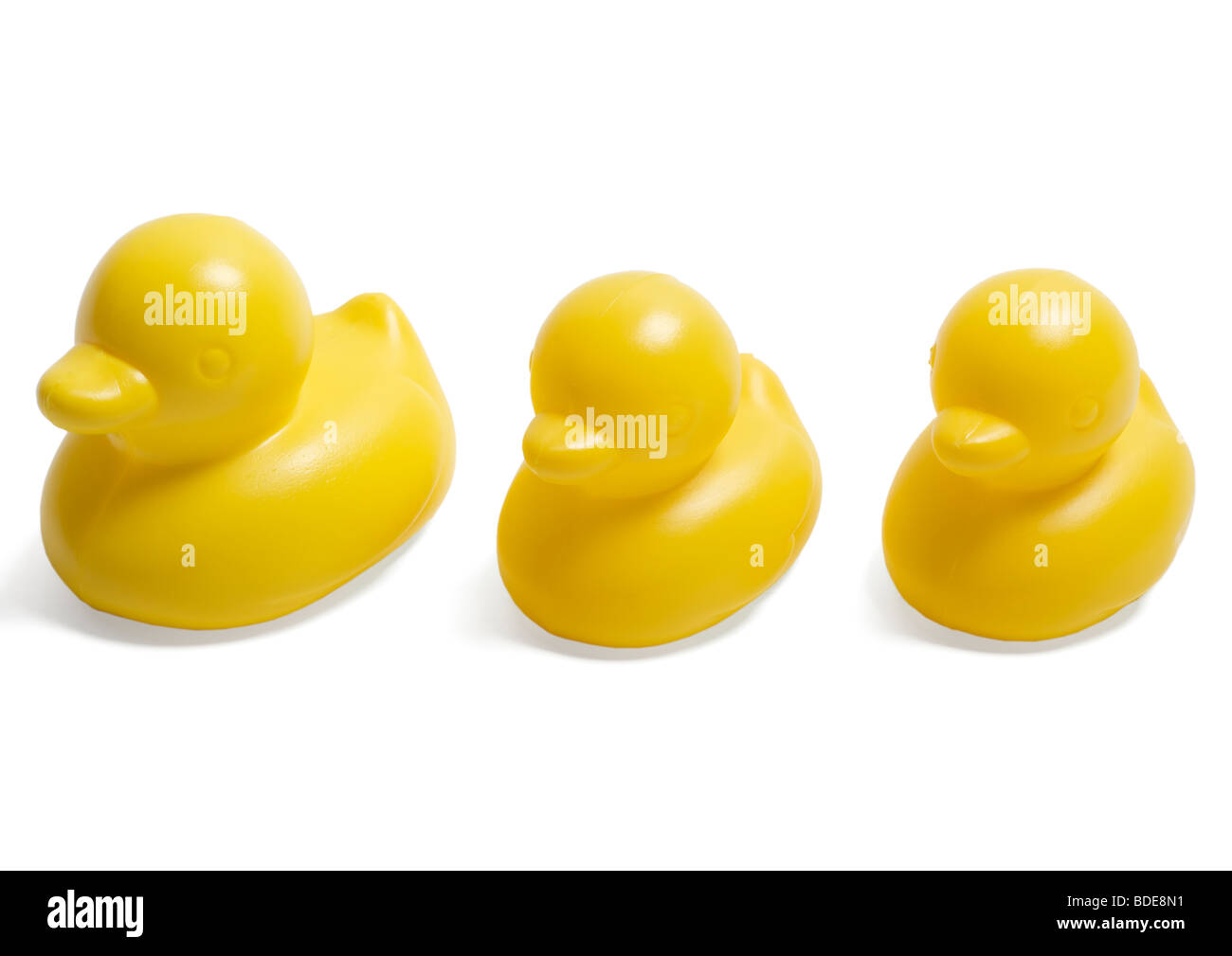 Trois canards en plastique jaune sur fond blanc Banque D'Images