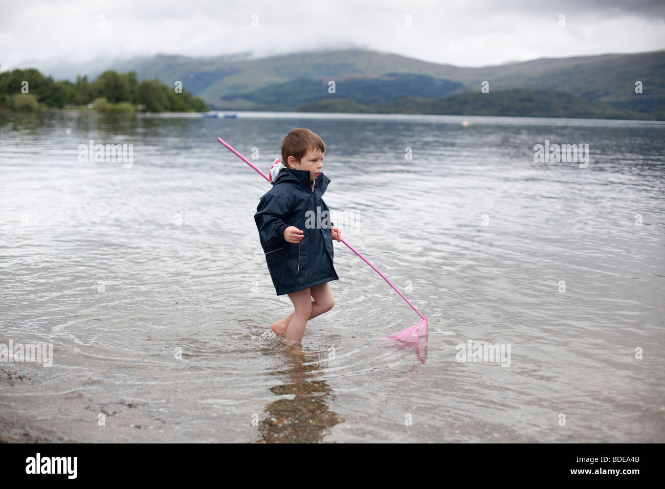 Un garçon de quatre ans portant une veste imperméable palettes dans le Loch Lomond, Ecosse rose portant un filet de pêche. Banque D'Images