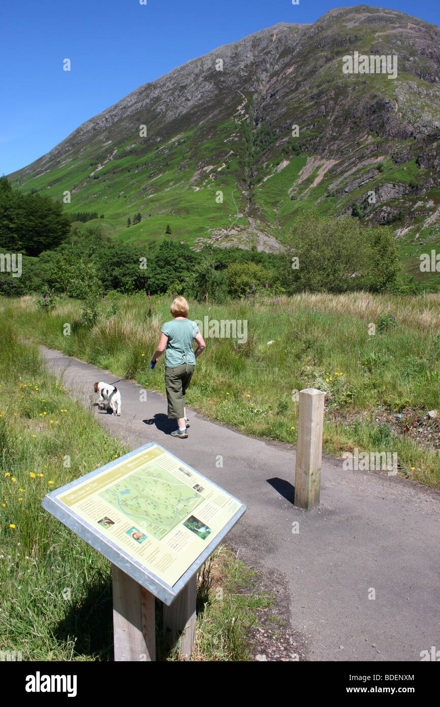 Woman walking dog sur le chemin ci-dessous Sgorr Fiannaidh nam, Glen Coe, les Highlands écossais Banque D'Images
