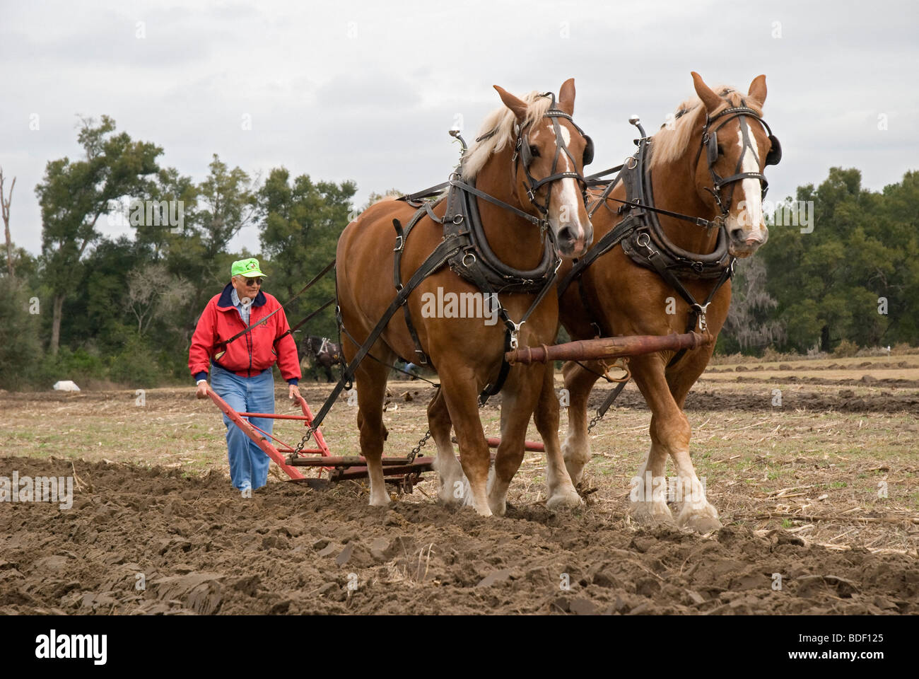 Festival annuel de jours de charrue à Dudley, lieu historique de La Ferme, Parc d'état de Newberry, Floride--Registre National des Endroits Historiques. Banque D'Images