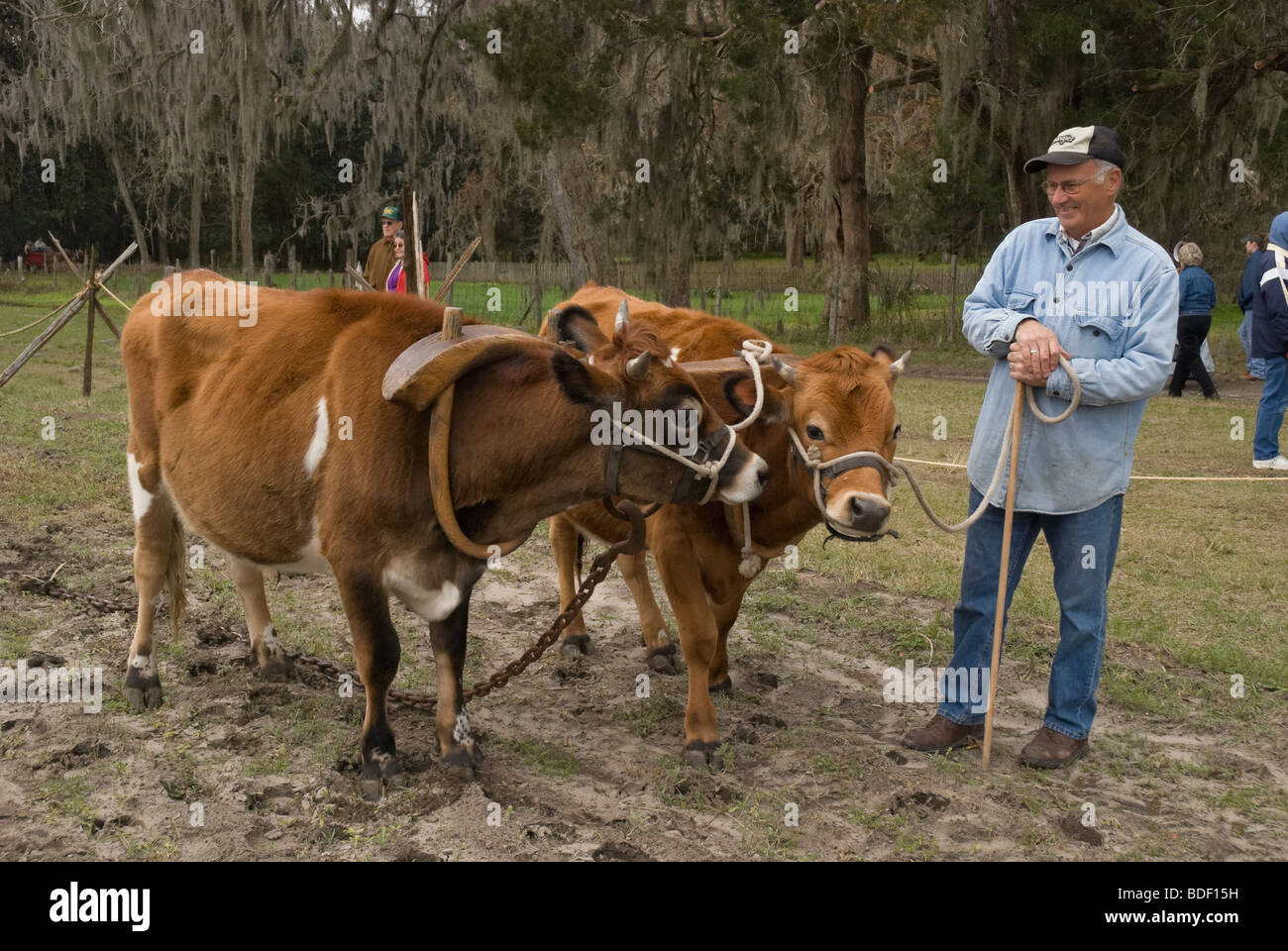 Festival annuel de jours de charrue à Dudley, lieu historique de La Ferme, Parc d'état de Newberry, Floride--Registre National des Endroits Historiques. Banque D'Images