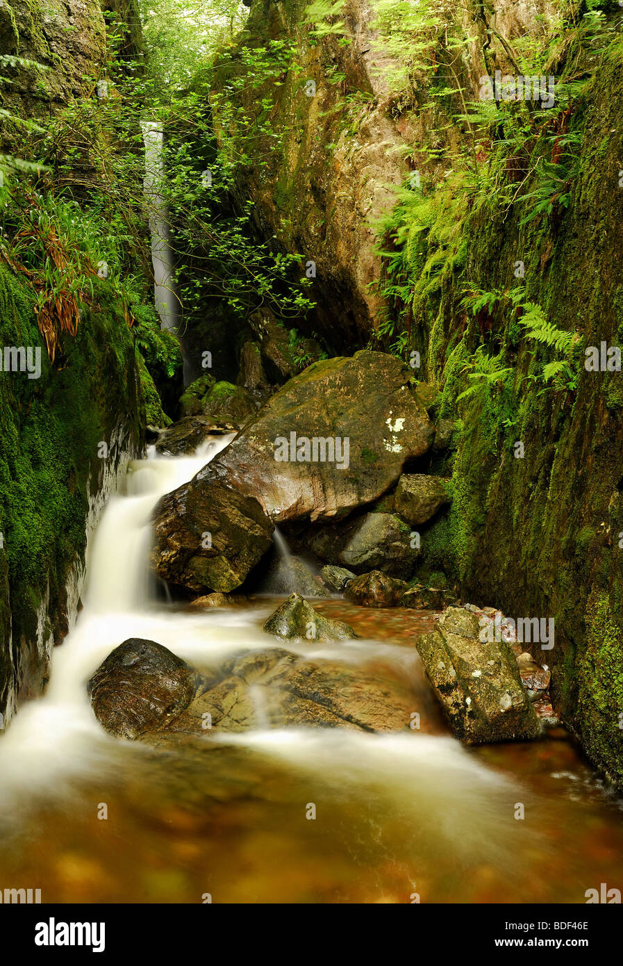 Dungeon Ghyll Force, Elterwater, Lake District Banque D'Images