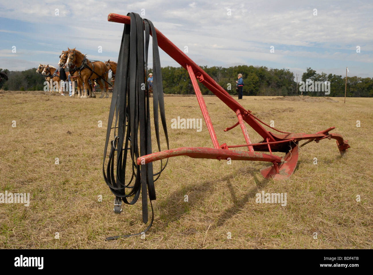 Festival annuel de jours de charrue à Dudley, lieu historique de La Ferme, Parc d'état de Newberry, Floride--Registre National des Endroits Historiques. Banque D'Images