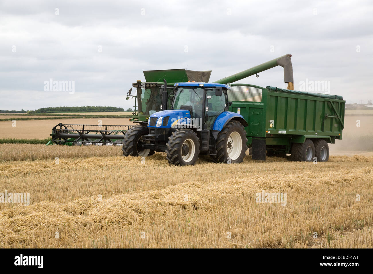 La récolte d'Orge Banque D'Images