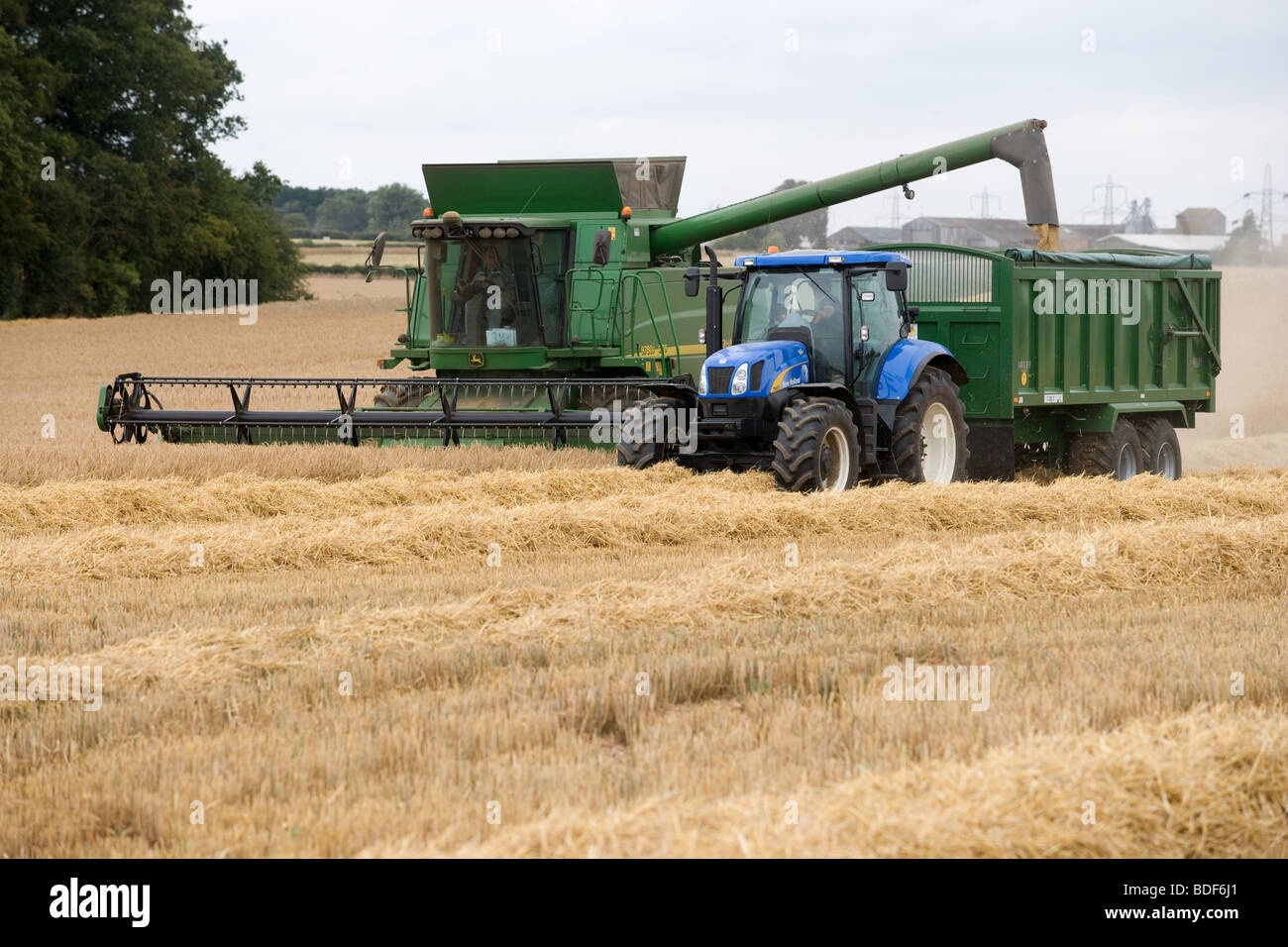 La récolte d'Orge Banque D'Images