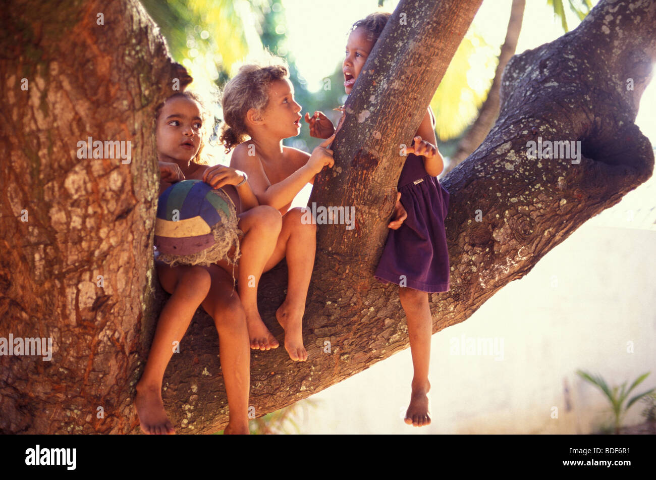 Jeux pour enfants non numériques, multi-éthiniques filles de 5 ans jouent avec le ballon et parlent sur le dessus d'un arbre. Natal, Rio Grande do Norte, Brésil. Banque D'Images