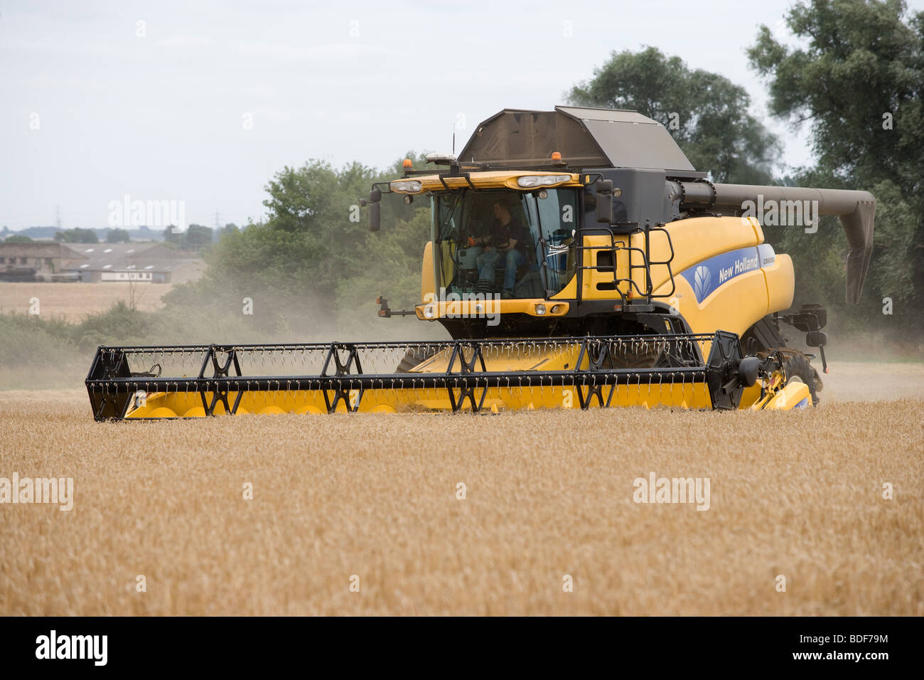 La récolte d'Orge Banque D'Images