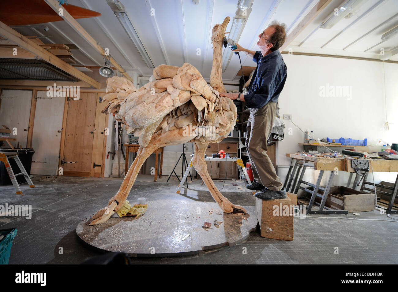 Sculpteur Nick Johnson avec une autruche fabriqués à partir de planches de bois gravés à l'aide d'angle meuleuse. Photo par Jim Holden. Banque D'Images