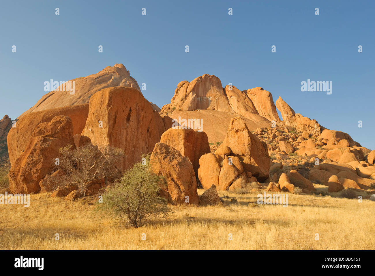 Paysage de rochers autour de la montagne Spitzkoppe, Namibie, Afrique du Sud Banque D'Images