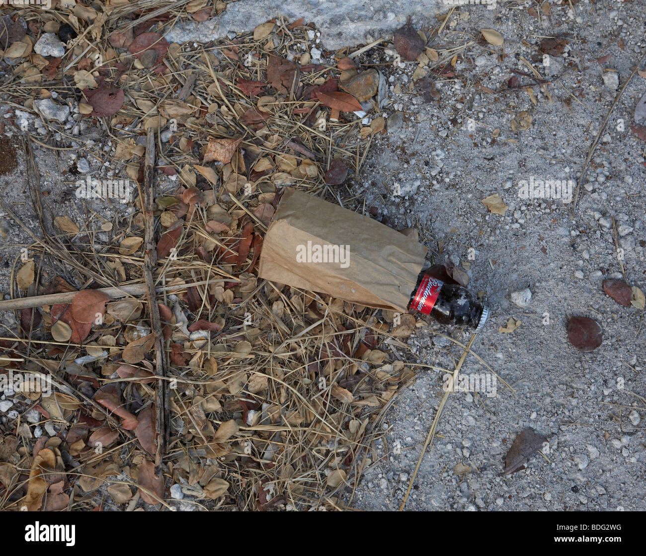 Bouteille de bière dans un sac brun Banque D'Images