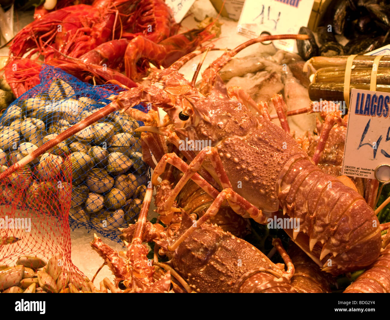 Cale au marché au poisson dans la Rambla, Barcelone, Espagne Banque D'Images