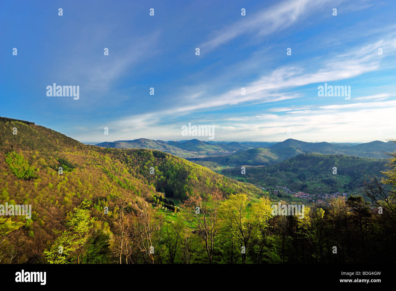 Vue depuis le château ruines sur le Neuscharfeneck Forêt Palatine, Dernbach, Naturpark Pfaelzerwald nature reserve, Palatinat, Banque D'Images
