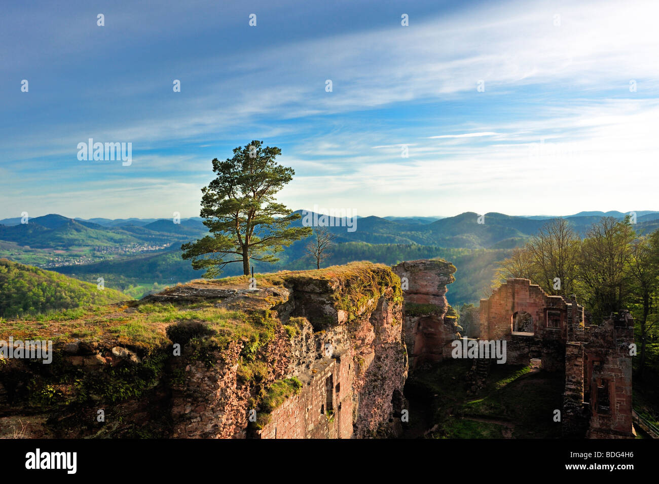 Ruines du château de Neuscharfeneck avec vue panoramique de la forêt Palatine, Naturpark Pfaelzerwald nature reserve, Palatinat, Rhin Banque D'Images